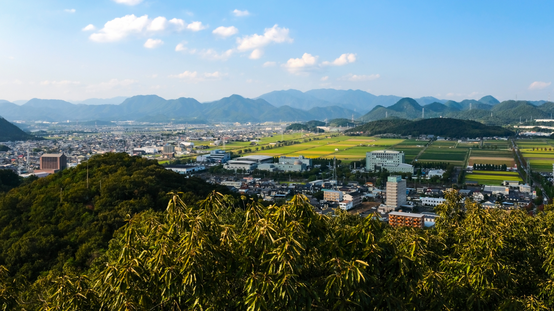 風景